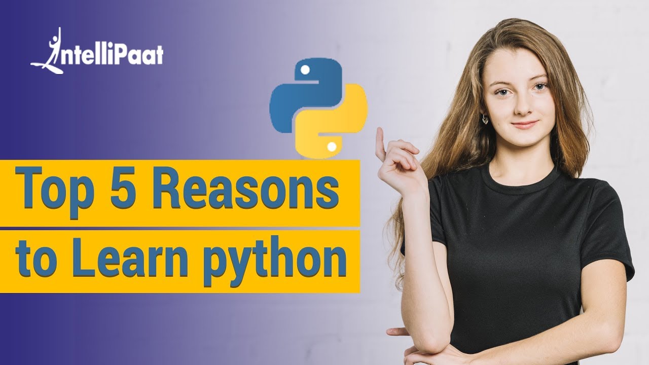 Top 5 Reasons to Learn Python | Python Programming Tutorials | Video