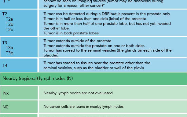 Prostate Cancer Staging And Grading