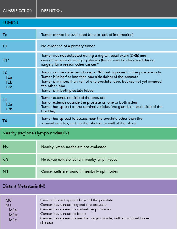 Prostate Cancer Staging | Ponirevo