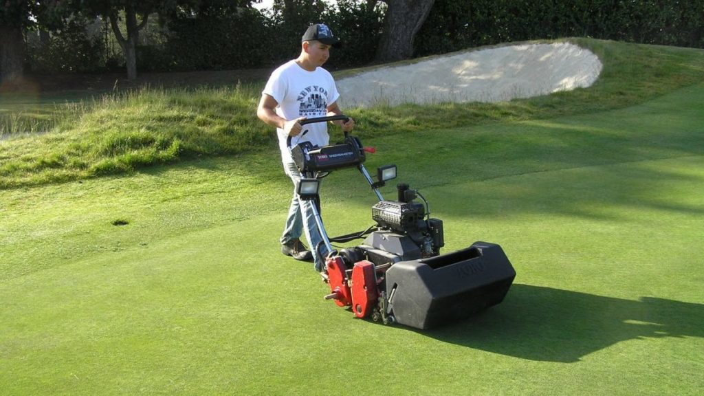 7 Tips to Mowing a Golf Course Green Ponirevo