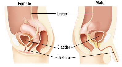 urethritis-symptoms
